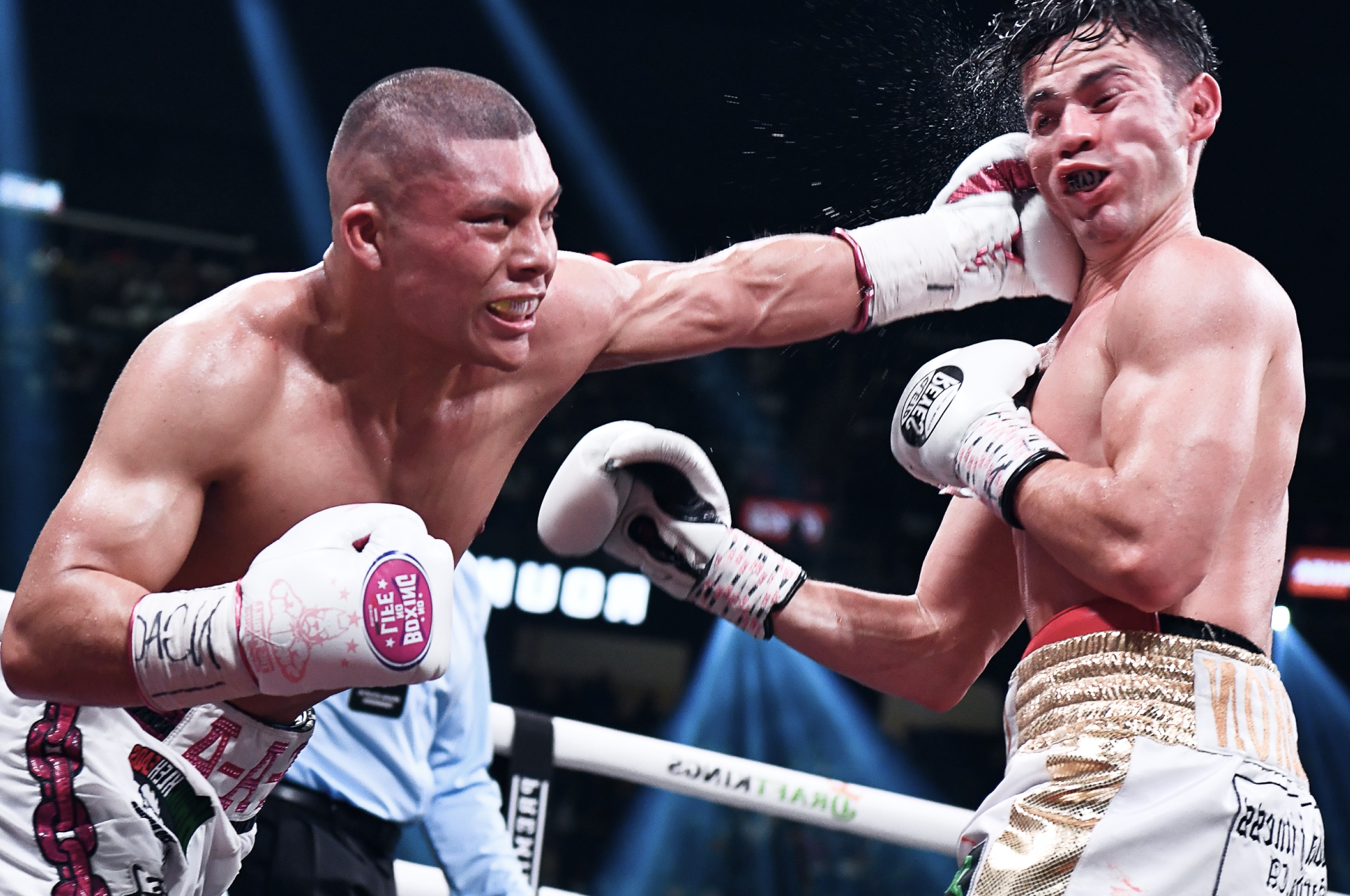 Pitbull Cruz en el cuadrilátero