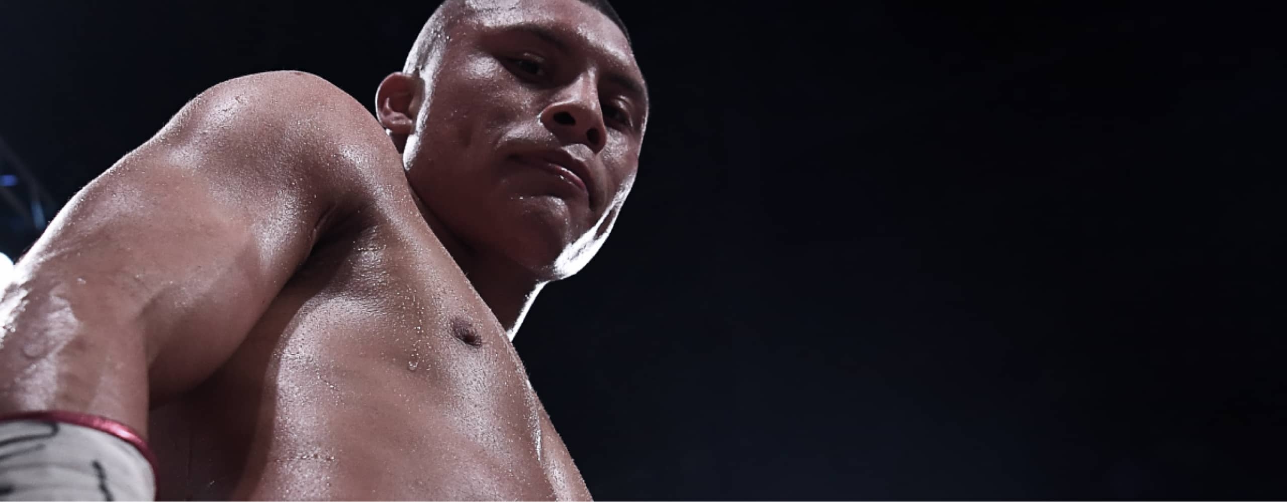 Pitbull Cruz después de pelear