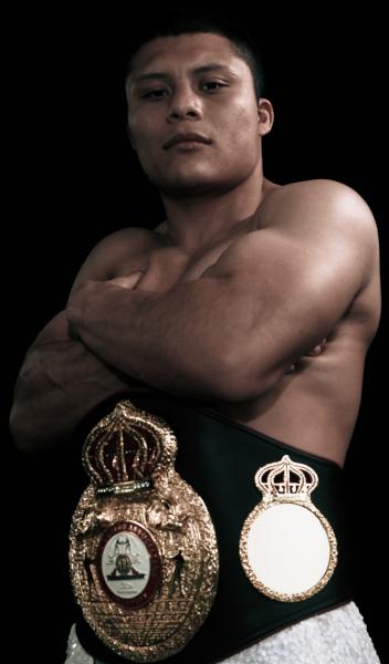 fotografía de Pitbull Cruz